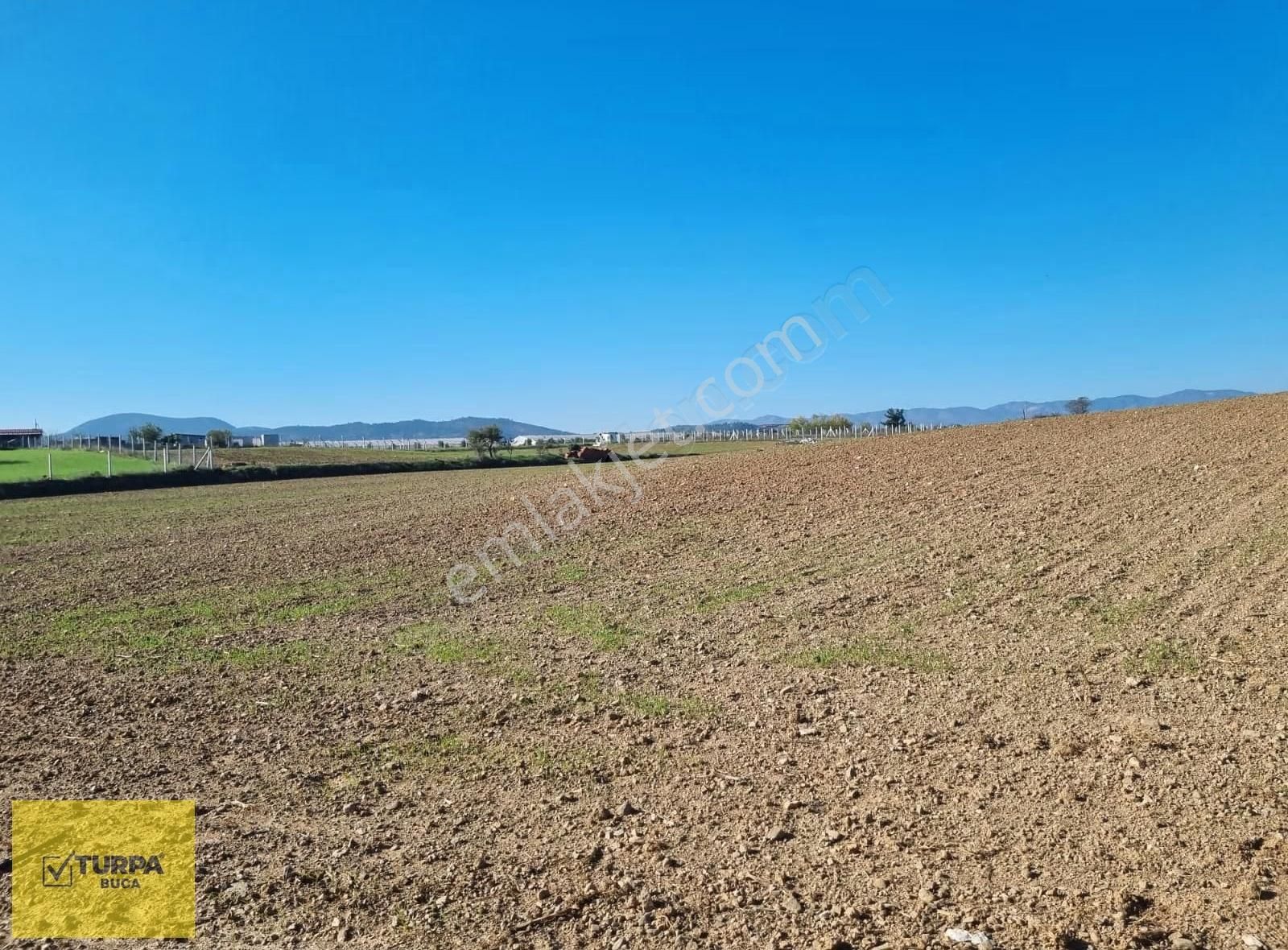 Turpa Buca'dan Kadastral Yol Cepheli Köy Merkezi Yakınında Tarla - Görsel 6