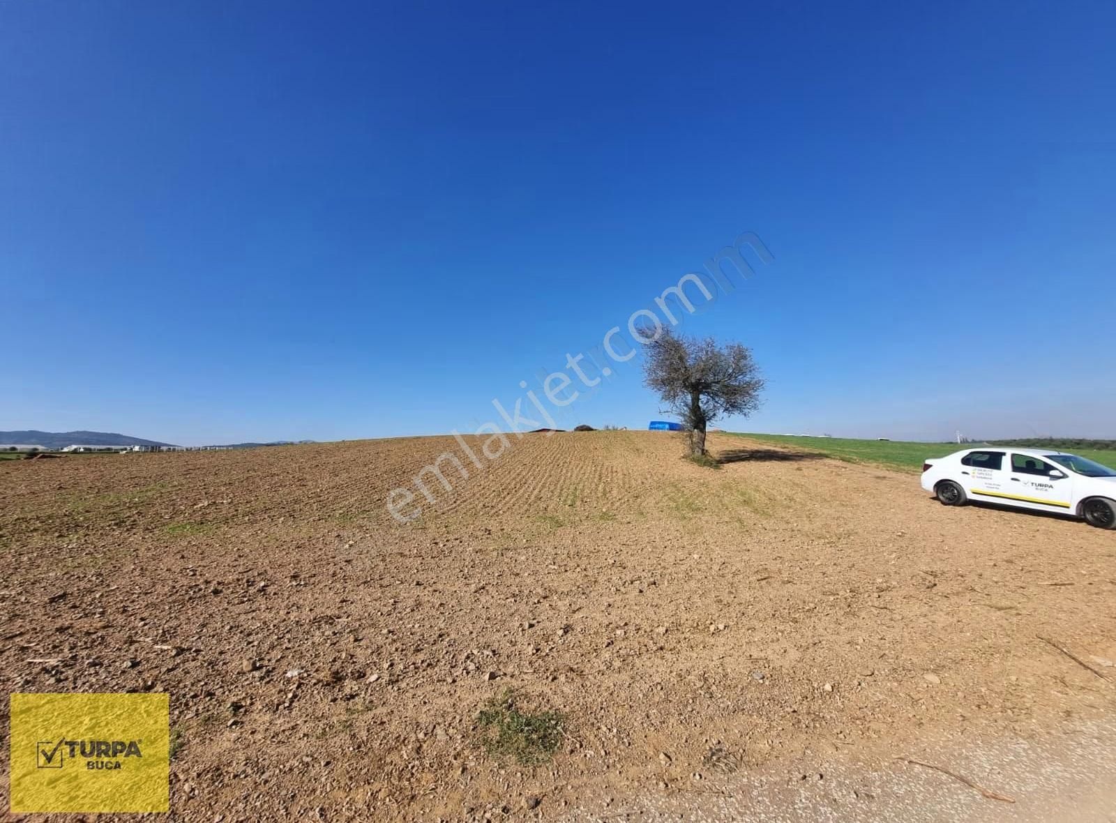 Turpa Buca'dan Kadastral Yol Cepheli Köy Merkezi Yakınında Tarla - Görsel 8