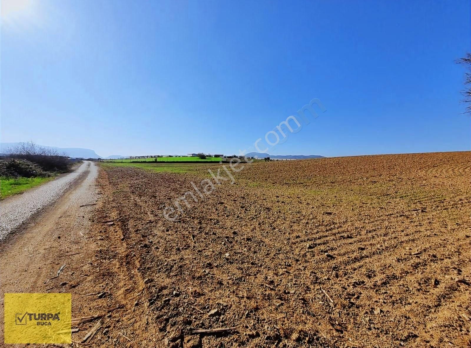 Turpa Buca'dan Kadastral Yol Cepheli Köy Merkezi Yakınında Tarla - Görsel 2