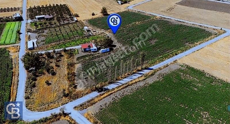 Aliağa Helvacı'da Satılık Tarla - Görsel 4