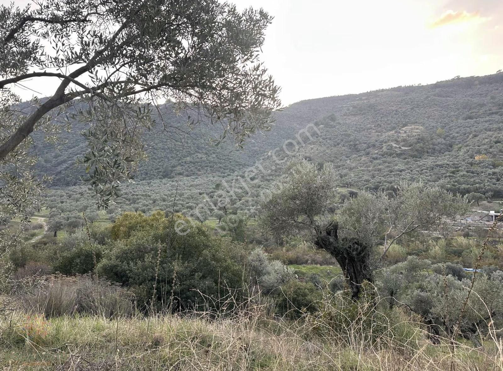 Doğa Dostu'ndan Bayındır Yakapınar Tek Tapu 3612 M2