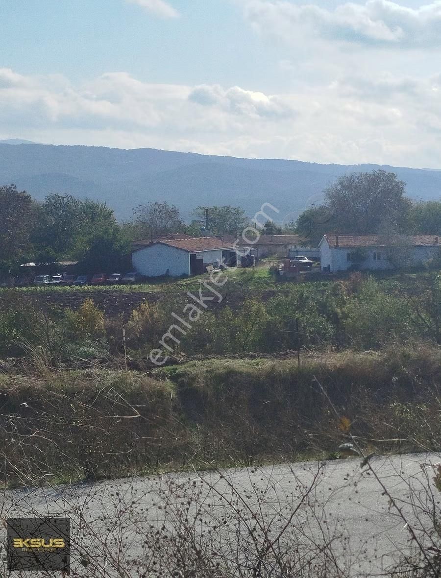 Balıklıdere De Arsa Ya Çevrilebilen Yatırımlık Zeytinlik - Görsel 3