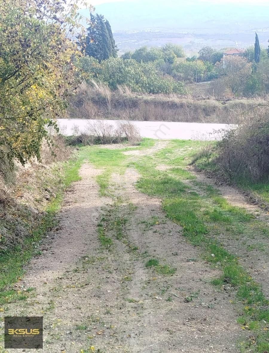 Balıklıdere De Arsa Ya Çevrilebilen Yatırımlık Zeytinlik - Görsel 12