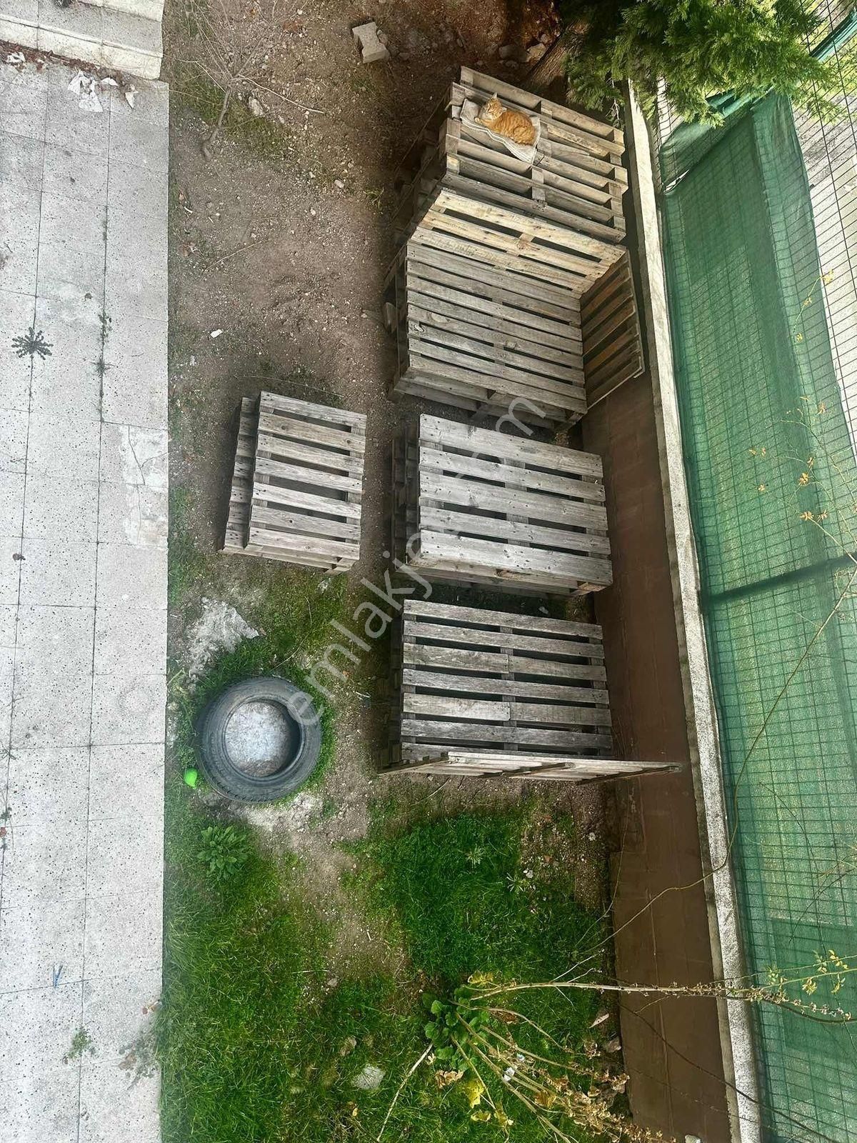 Yenimahalle Ergenekon'da Yeni Bina 3+1 Bahçeli Satılık Daire - Görsel 3