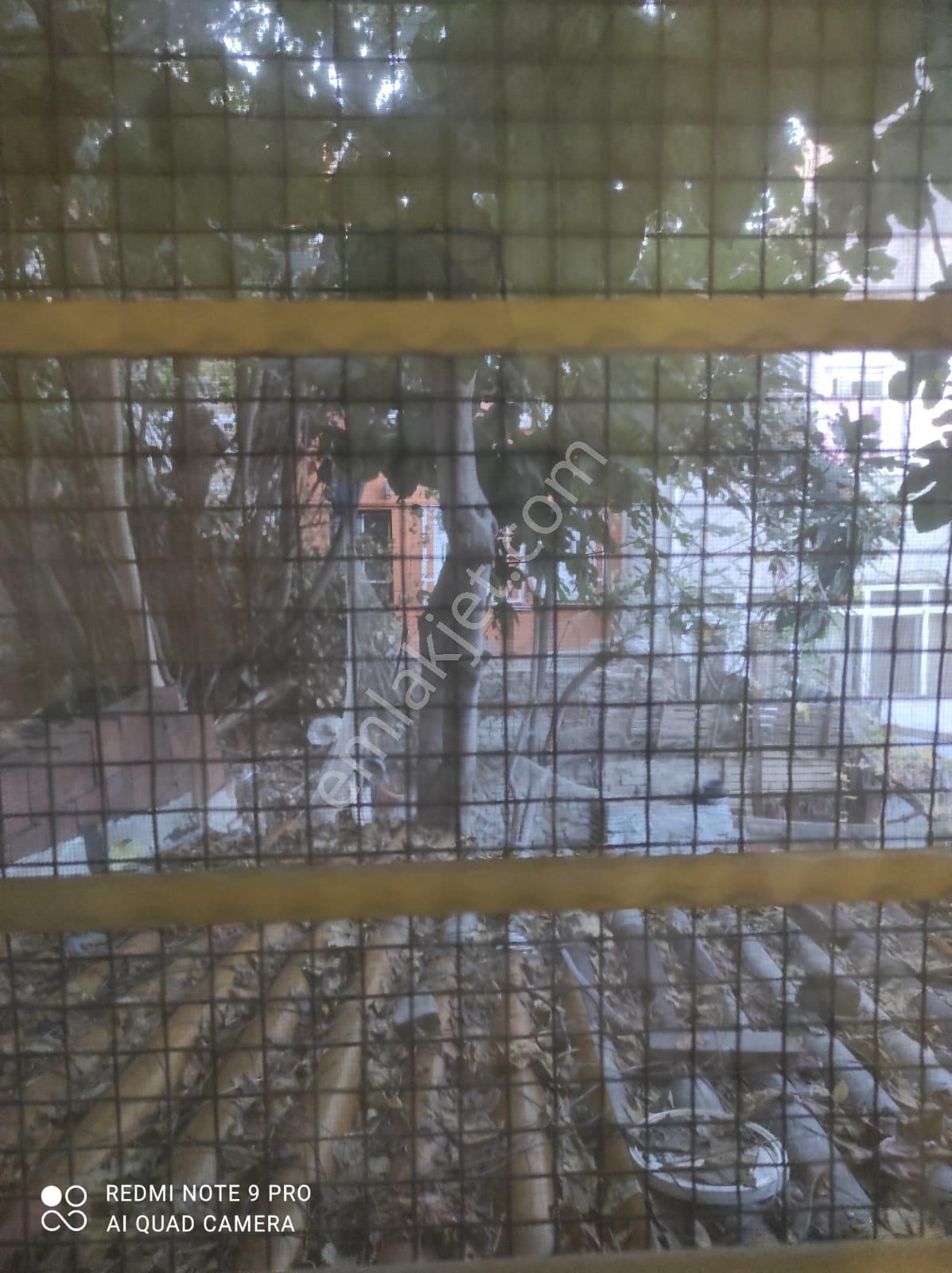 İki Katlı, Ahşap, Bahçeli Ev - Görsel 18