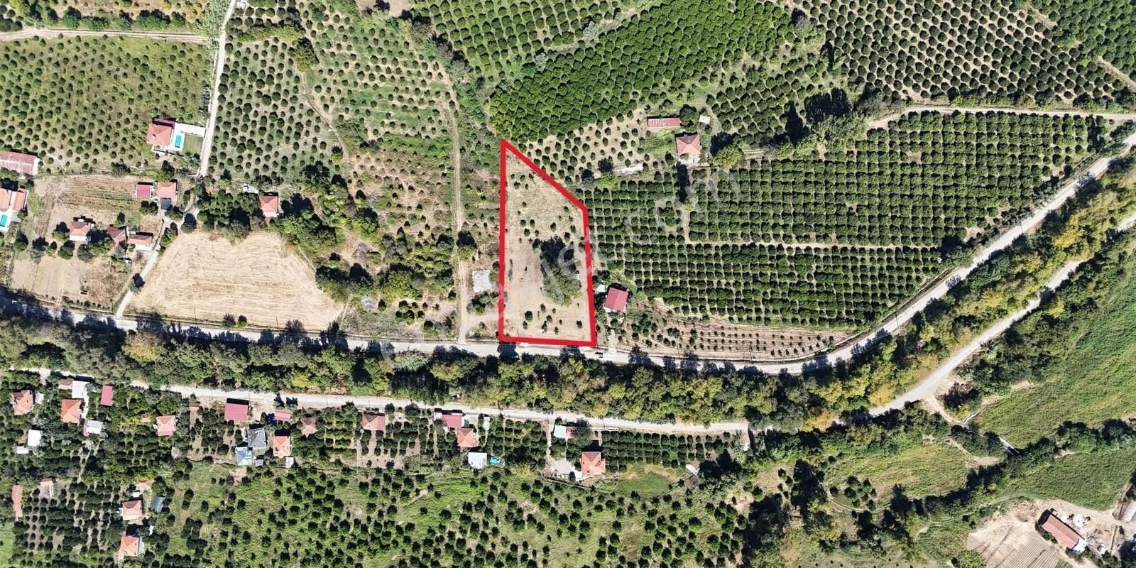 Köyceğiz Yuvarlakçay Mevkinde Doğa İçinde Uygun Fiyatlı Parsel