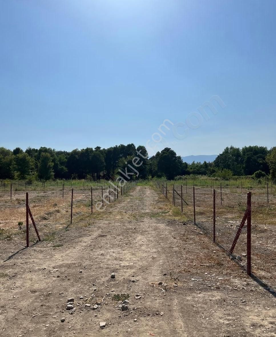 Zeytinalanı Mah. 300 M2 Satılık Arazi 1.350.000 Tl'den Başlayan - Görsel 2
