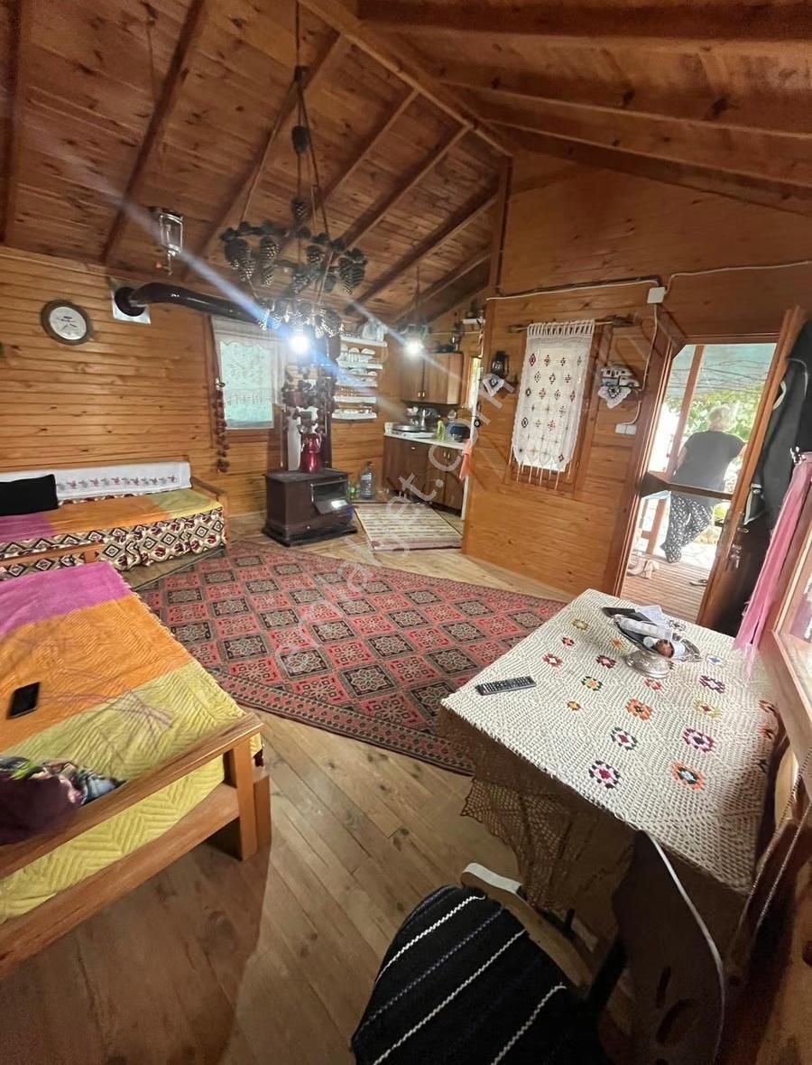 Göl Manzaralı 539 M2 Arazi İçinde Satılık Ahşap Ev - Görsel 3