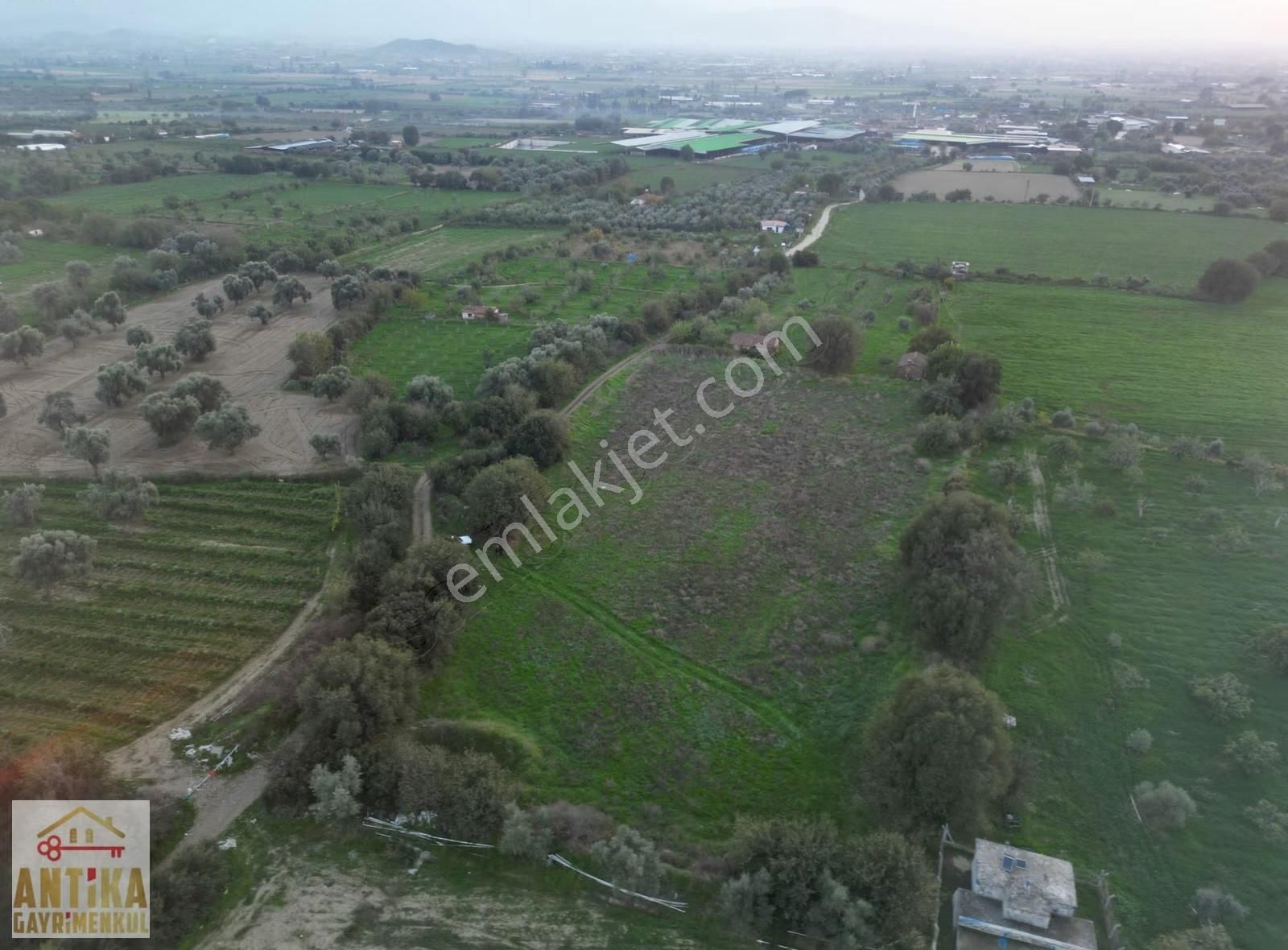 Antika Gayrimenkulden Büyükavulcuk Mah. Satılık 7680 M2 Tarla - Görsel 8