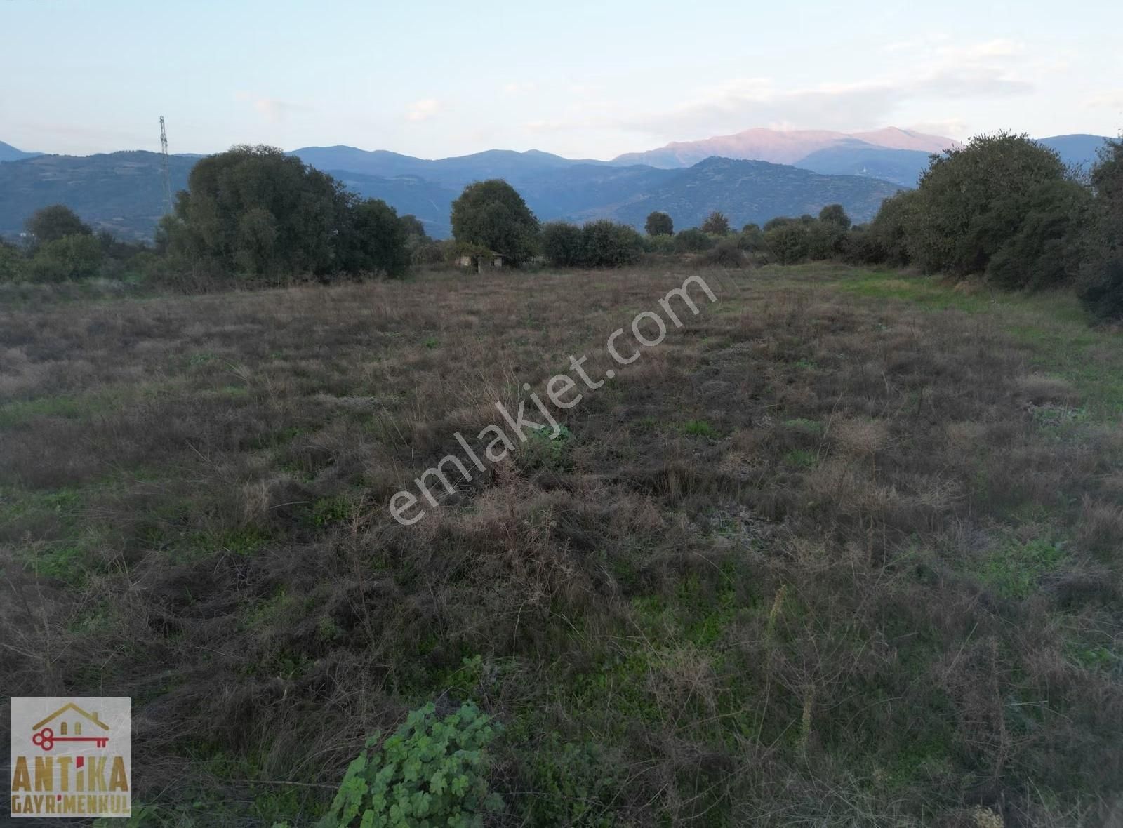 Antika Gayrimenkulden Büyükavulcuk Mah. Satılık 7680 M2 Tarla - Görsel 5