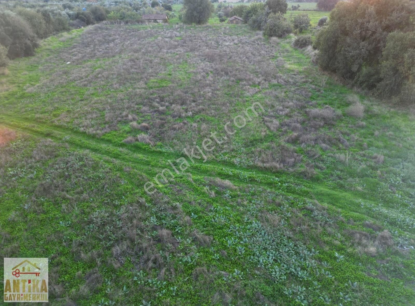 Antika Gayrimenkulden Büyükavulcuk Mah. Satılık 7680 M2 Tarla - Görsel 16