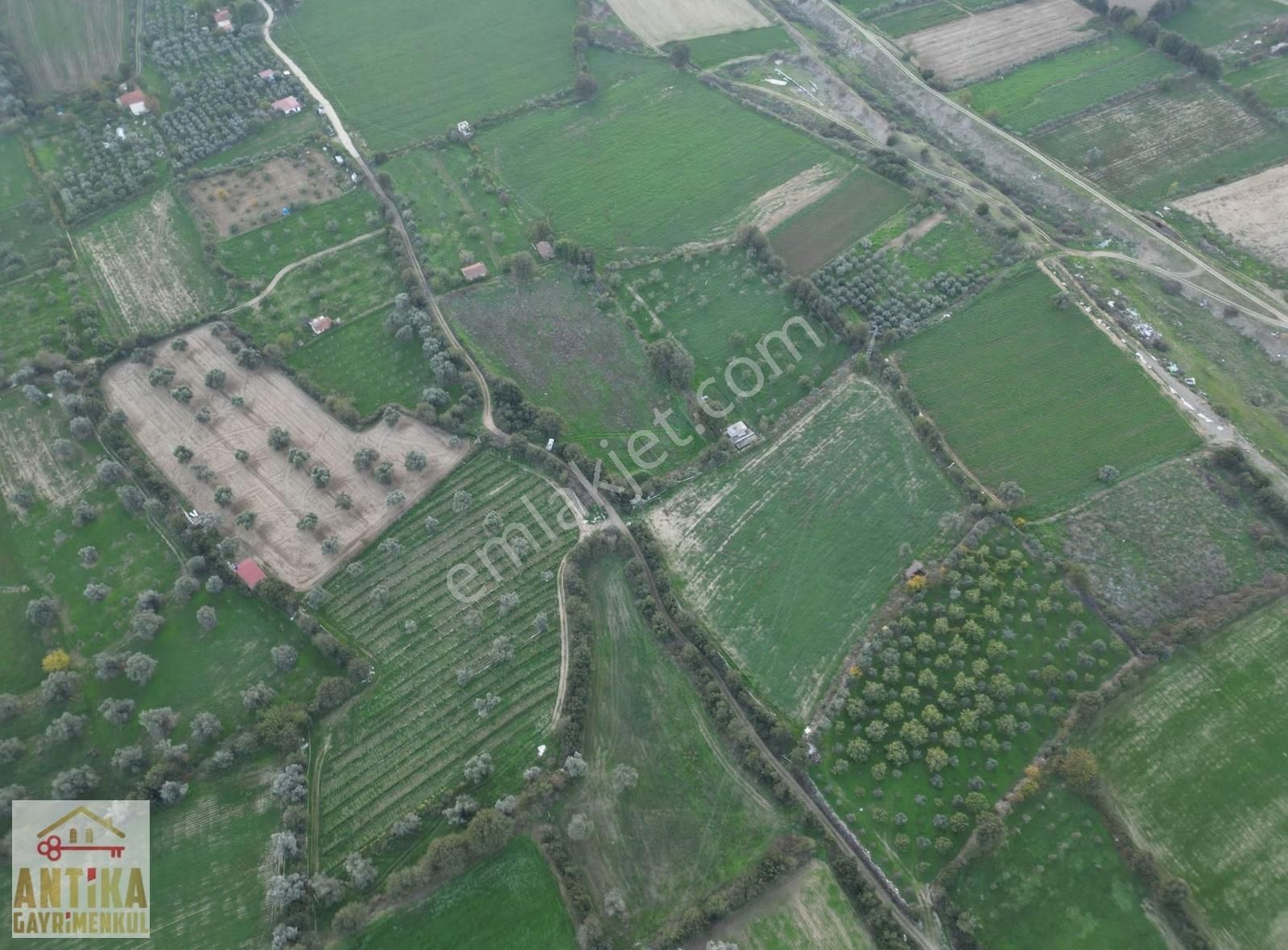 Antika Gayrimenkulden Büyükavulcuk Mah. Satılık 7680 M2 Tarla - Görsel 11