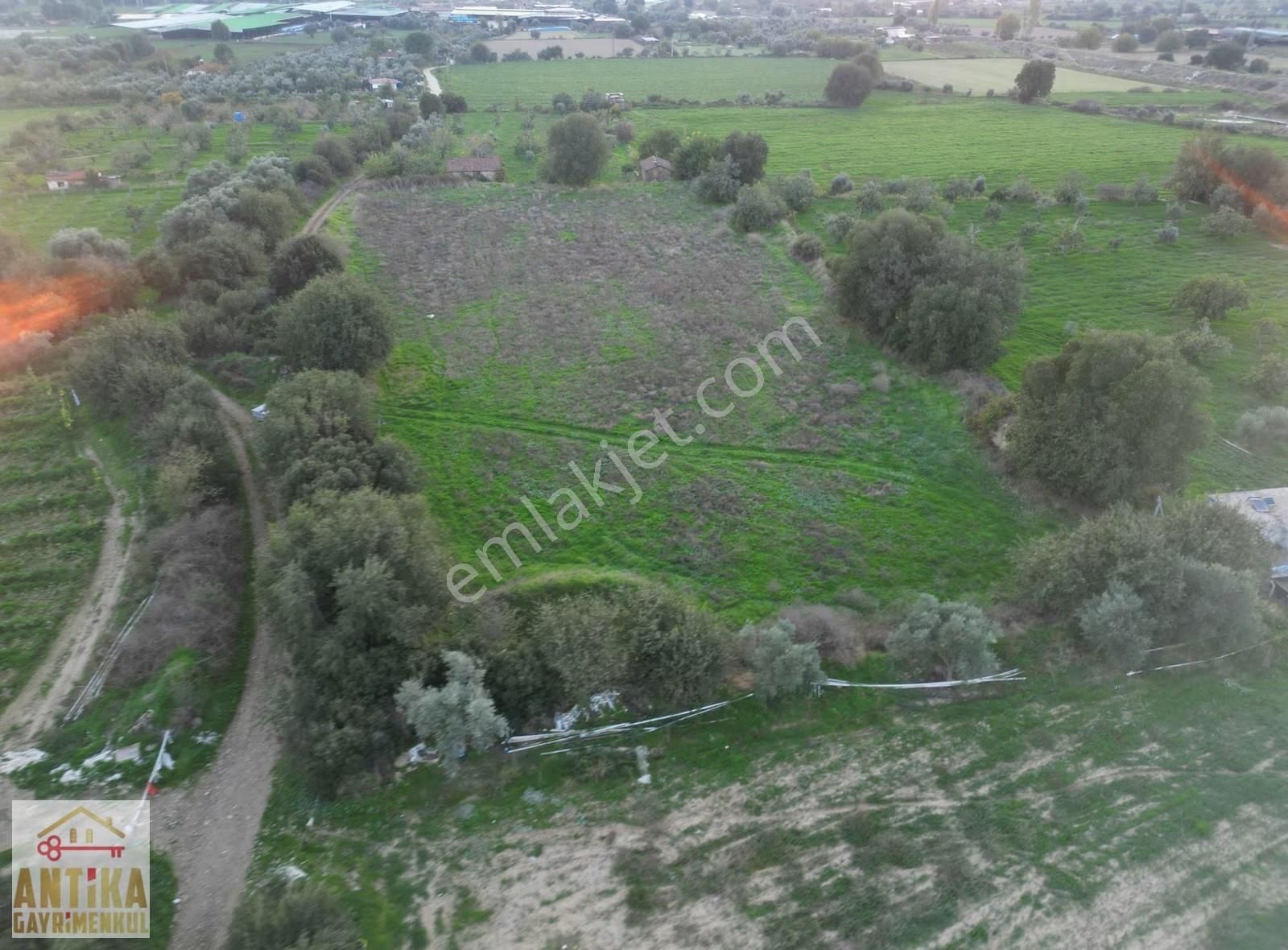 Antika Gayrimenkulden Büyükavulcuk Mah. Satılık 7680 M2 Tarla - Görsel 22