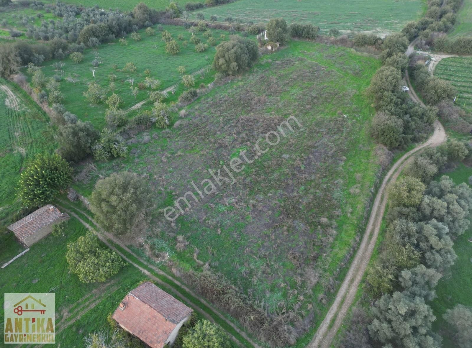 Antika Gayrimenkulden Büyükavulcuk Mah. Satılık 7680 M2 Tarla - Görsel 14