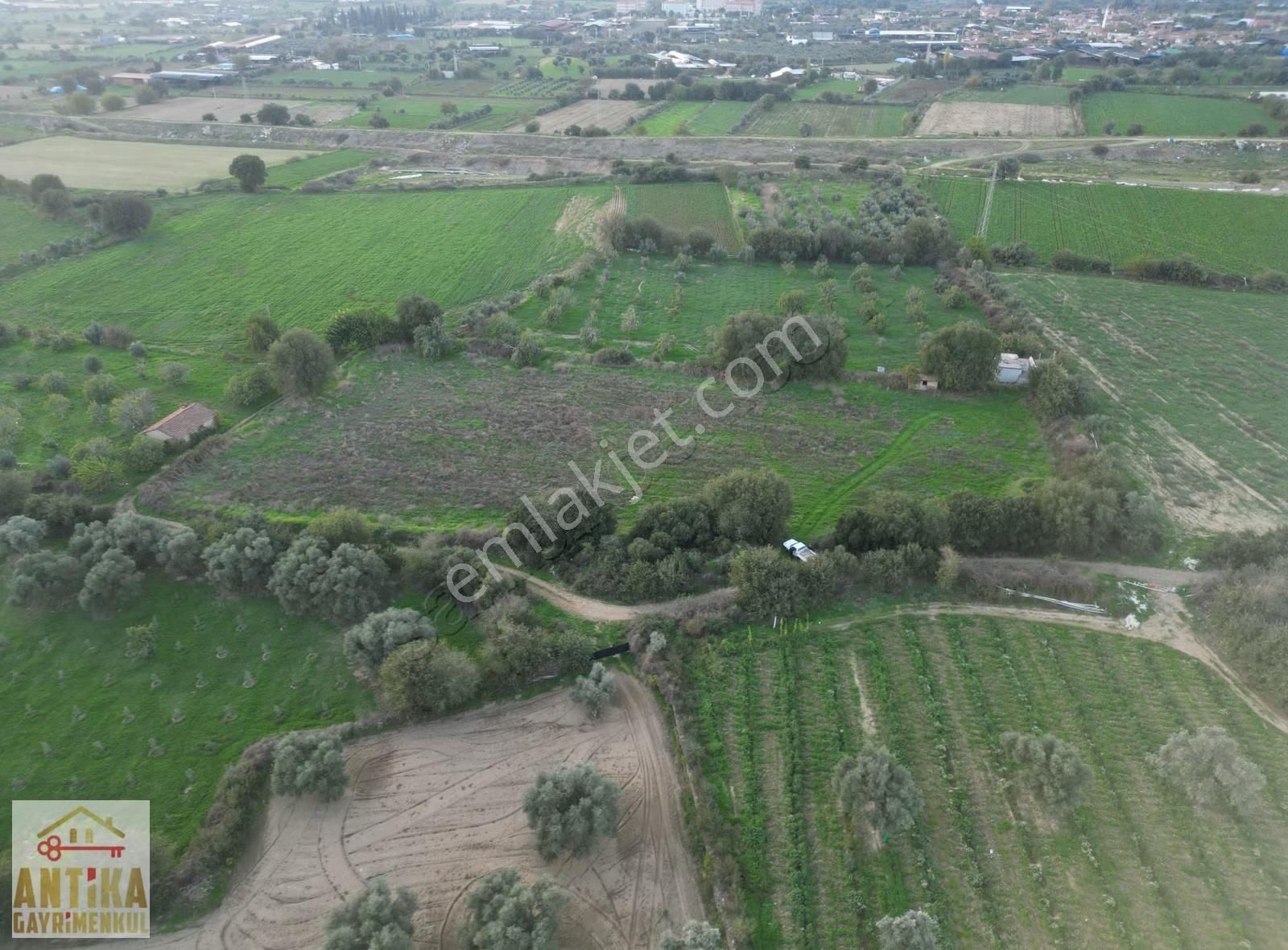 Antika Gayrimenkulden Büyükavulcuk Mah. Satılık 7680 M2 Tarla - Görsel 17