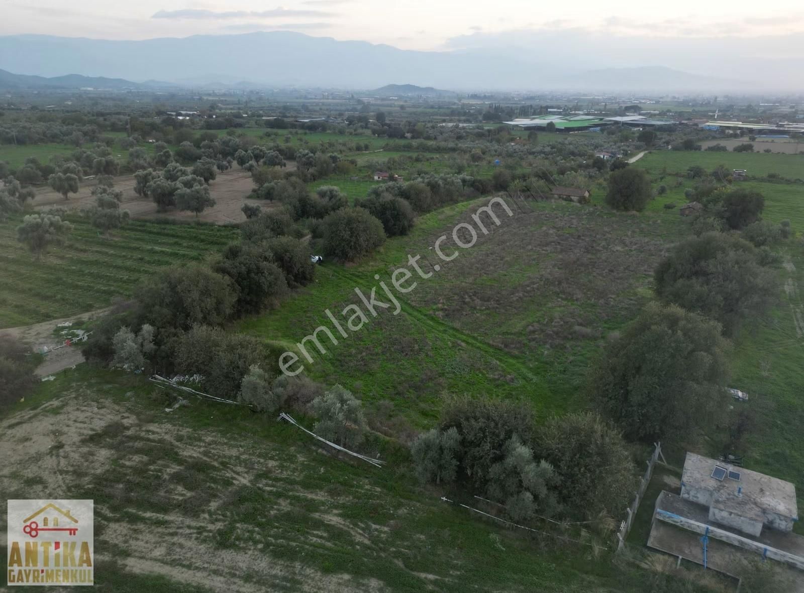 Antika Gayrimenkulden Büyükavulcuk Mah. Satılık 7680 M2 Tarla - Görsel 15