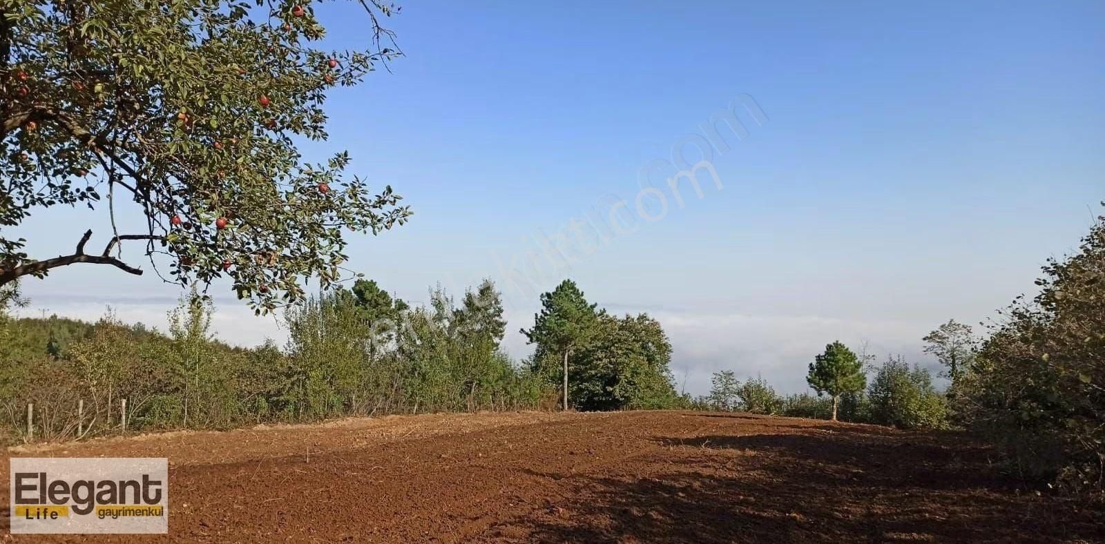 Sapancada Panoramik Göl Manzaralı 10 Dönümlük Yatırımlık Arazi! - Görsel 5