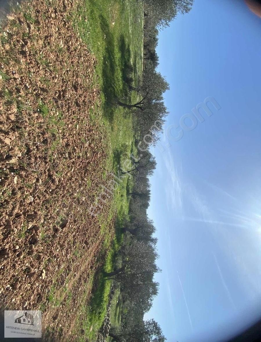 Artenew'den 171 M2 Satılık Bağ Bahçe Bergama Girişi - Görsel 4