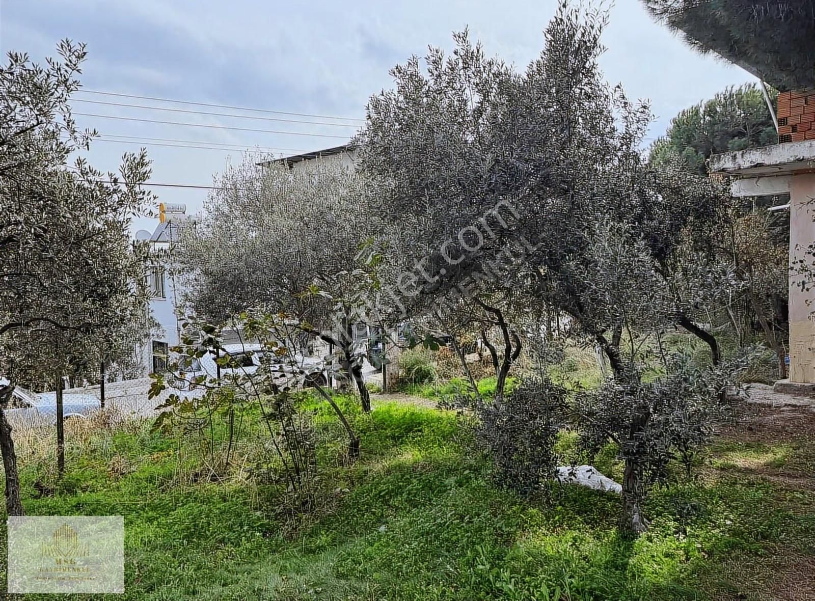 -msg'den 309 Metrekare İçinde Evi Olan Çevreyoluna Yakın Arsa - Görsel 8