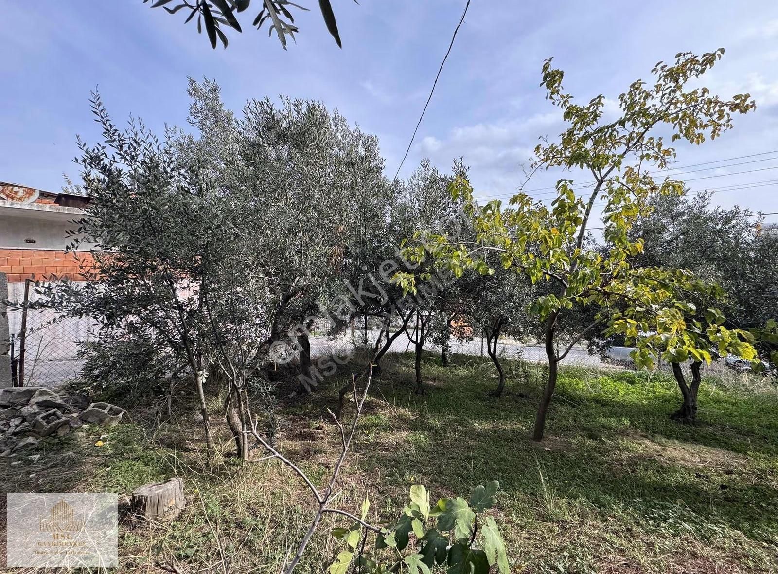 -msg'den 309 Metrekare İçinde Evi Olan Çevreyoluna Yakın Arsa - Görsel 22