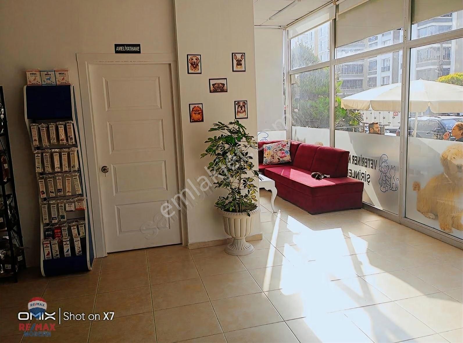 Veteriner Kiracılı Satılık Dükkan - Görsel 3
