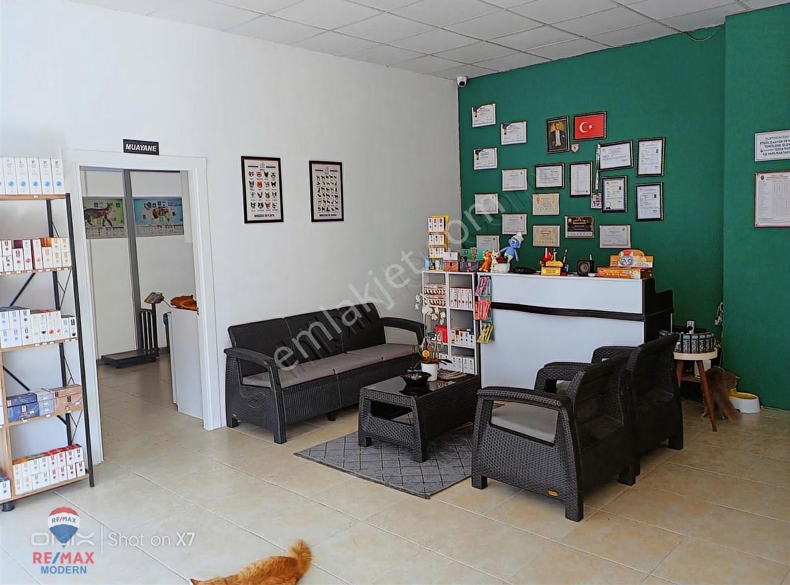 Veteriner Kiracılı Satılık Dükkan - Görsel 7