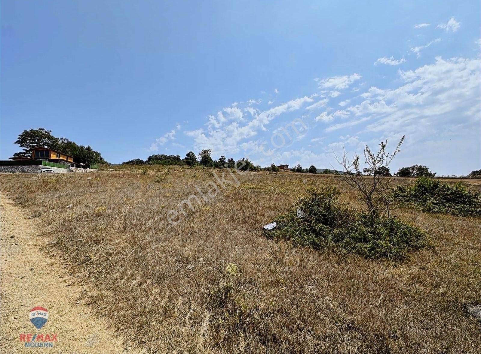 Samet'ten Satılık Kavak Çakallı 3107 M2 Tarla - Görsel 5