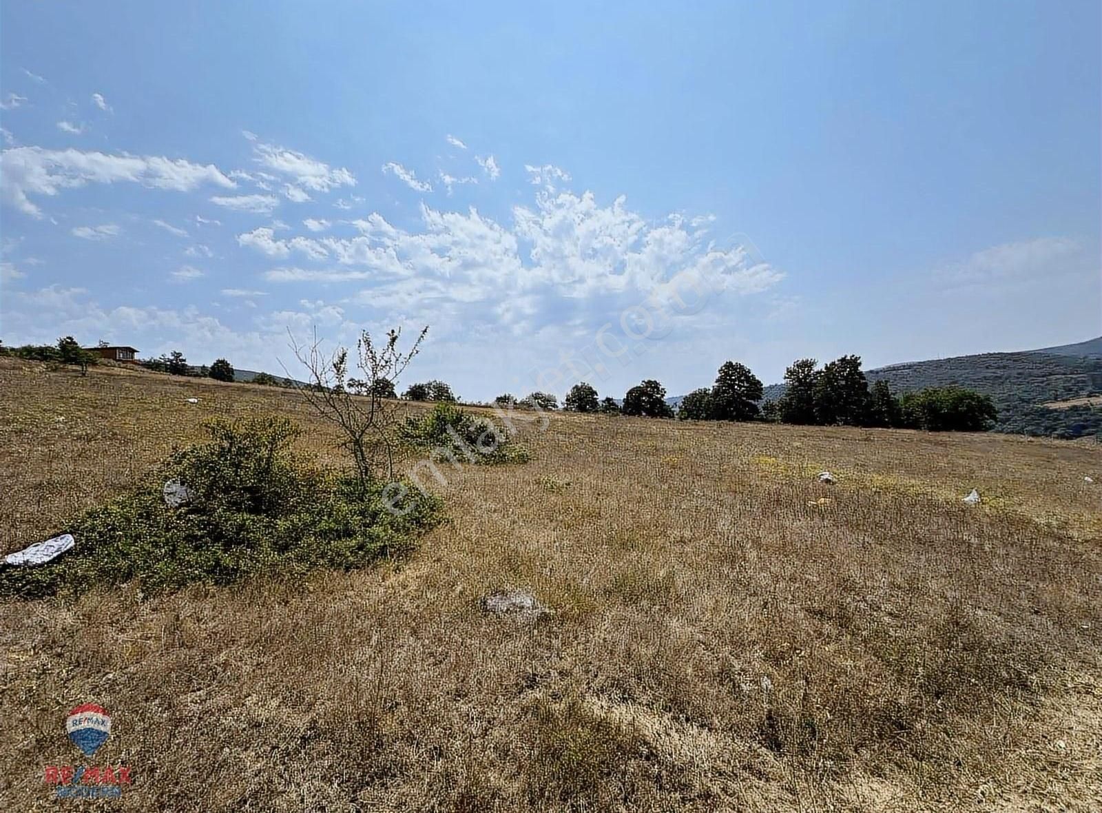 Samet'ten Satılık Kavak Çakallı 3107 M2 Tarla - Görsel 6