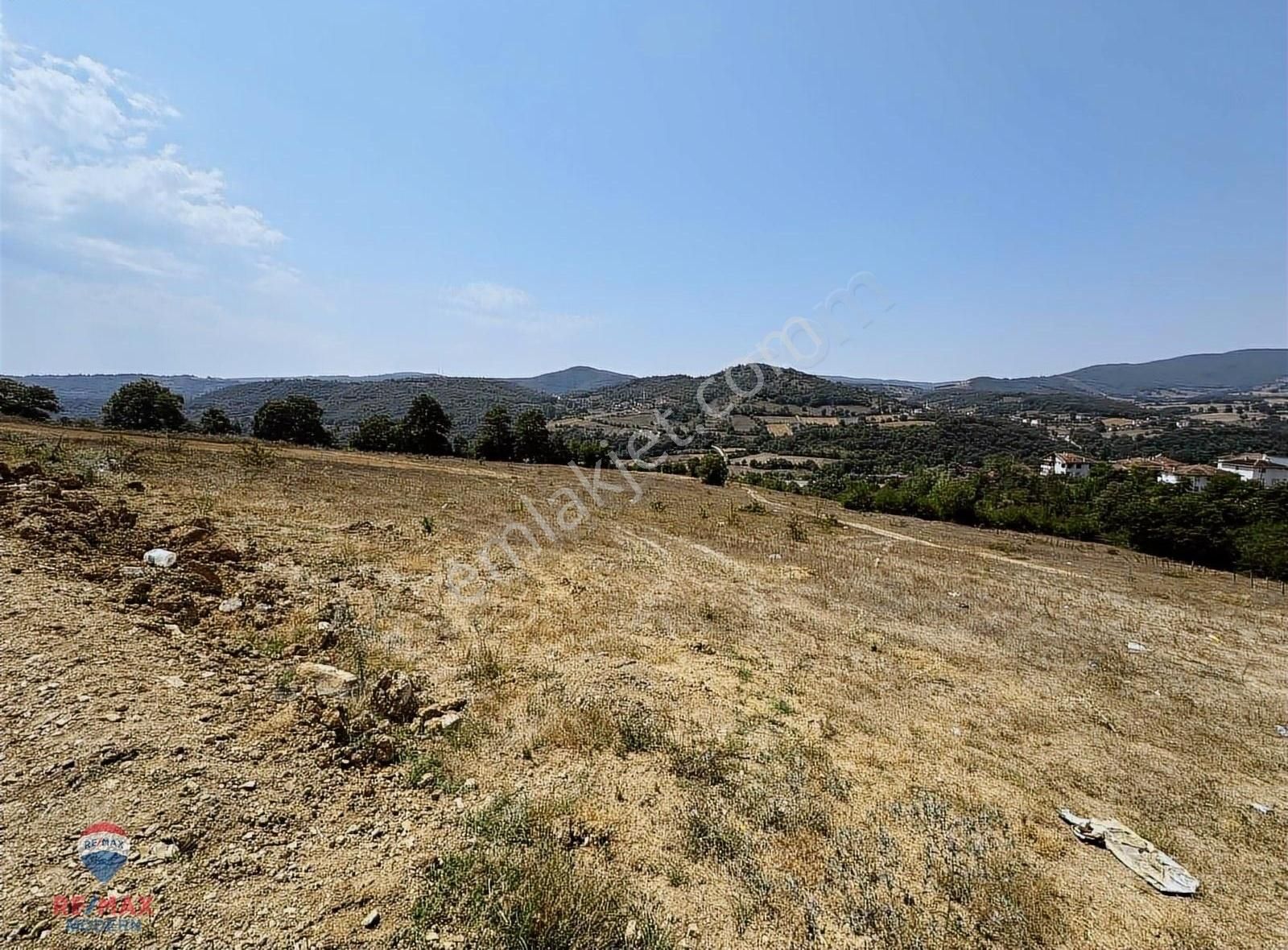Samet'ten Satılık Kavak Çakallı 3107 M2 Tarla - Görsel 3