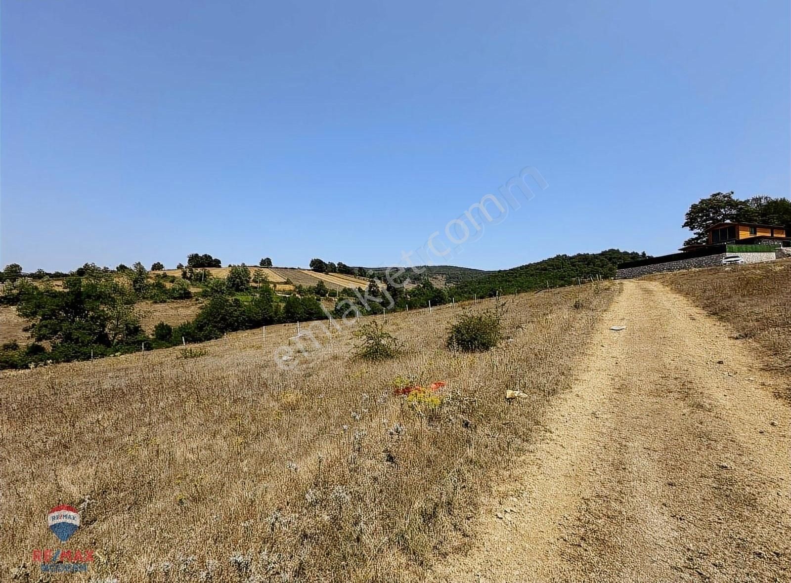 Samet'ten Satılık Kavak Çakallı 3107 M2 Tarla - Görsel 9