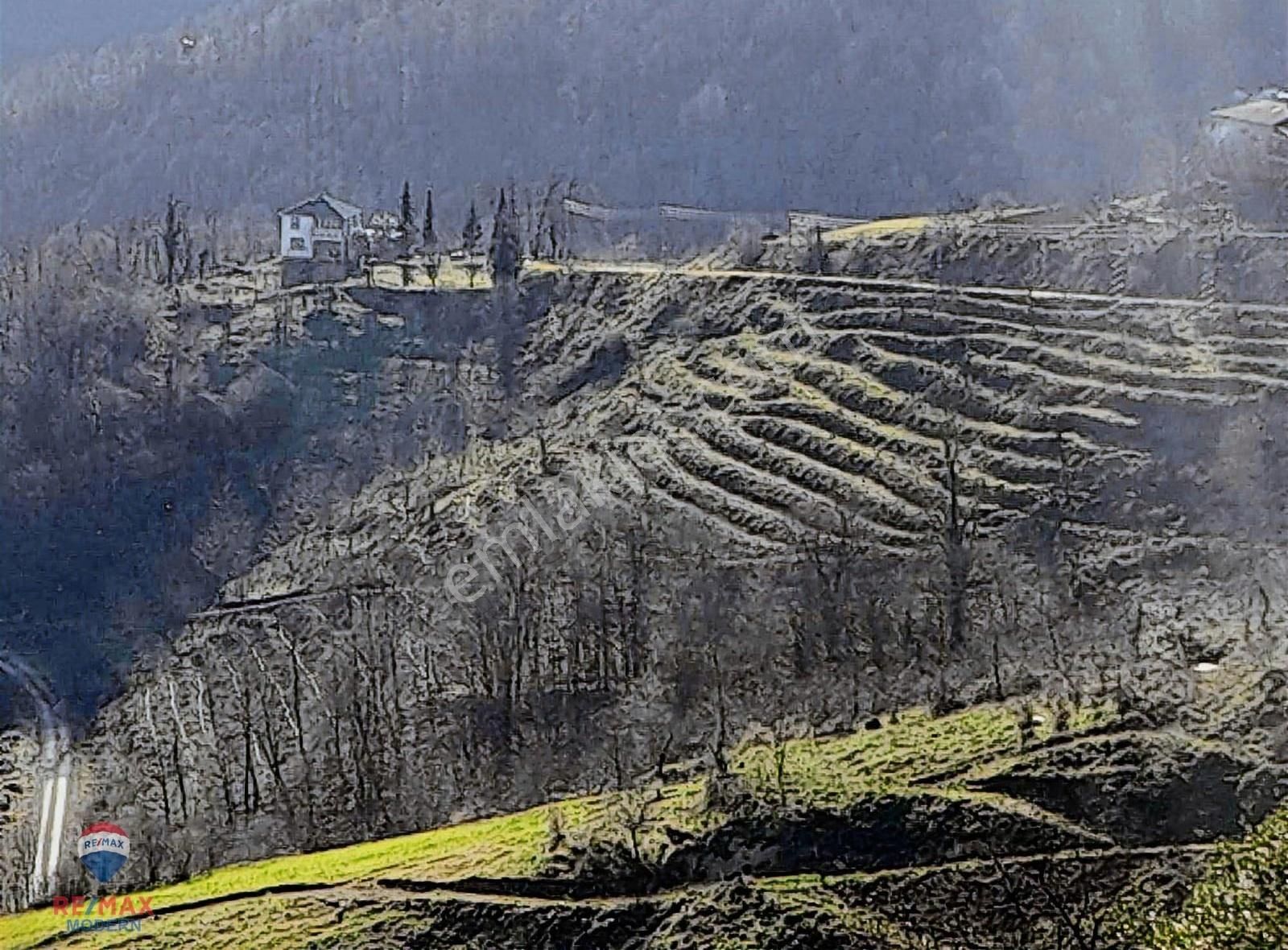 Satılık Tarla | Canik Kaşyayla Mahallesi - Görsel 6