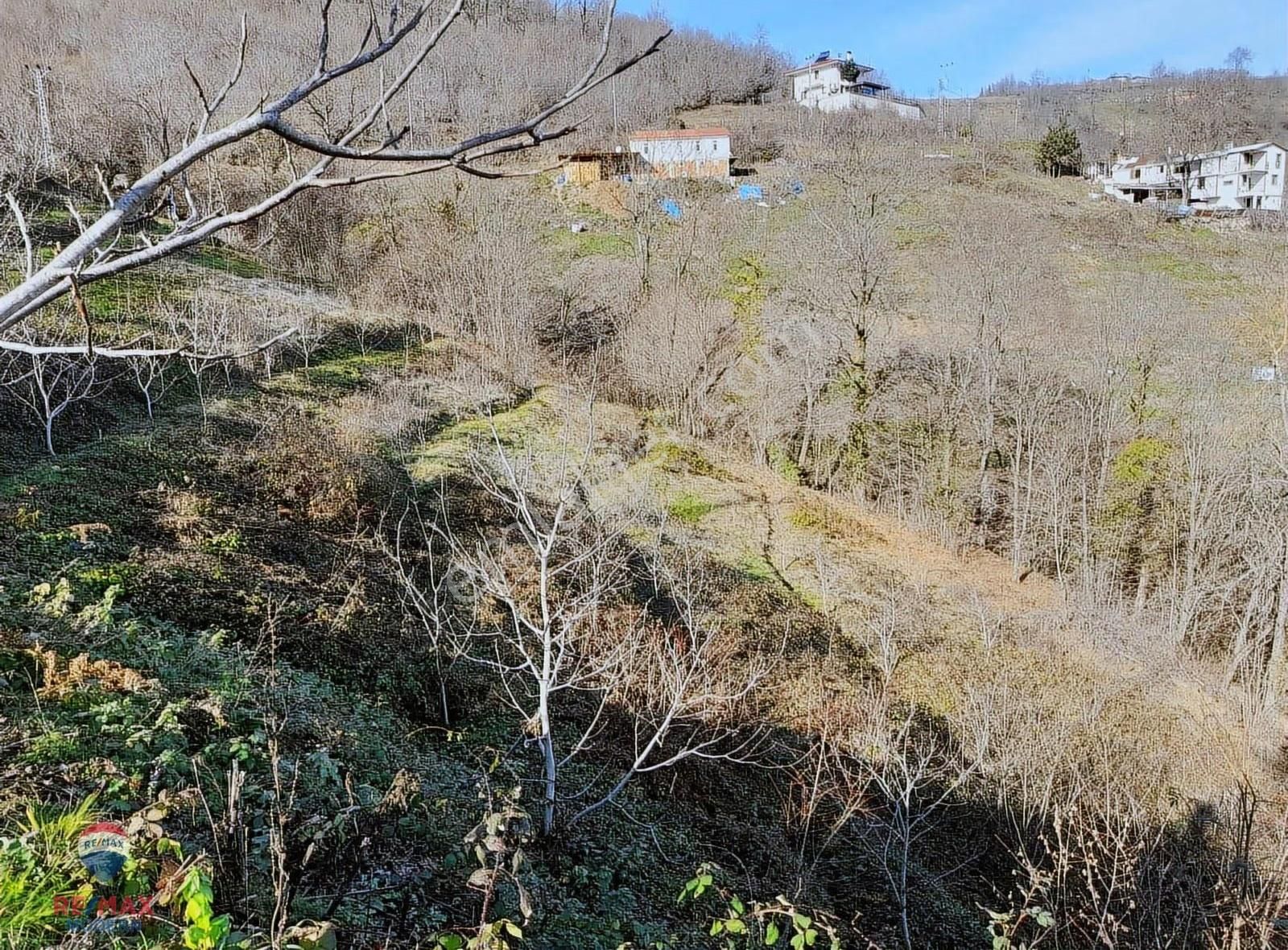 Satılık Tarla | Canik Kaşyayla Mahallesi - Görsel 3