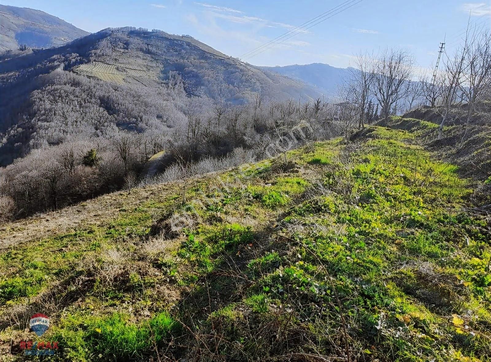 Satılık Tarla | Canik Kaşyayla Mahallesi - Görsel 2
