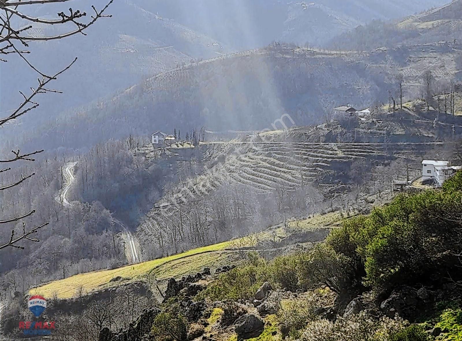 Satılık Tarla | Canik Kaşyayla Mahallesi - Görsel 5