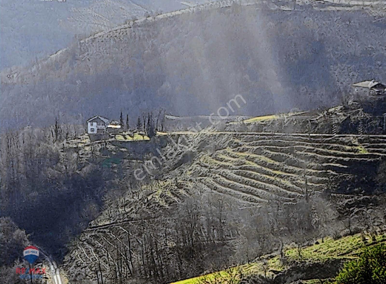 Satılık Tarla | Canik Kaşyayla Mahallesi - Görsel 8
