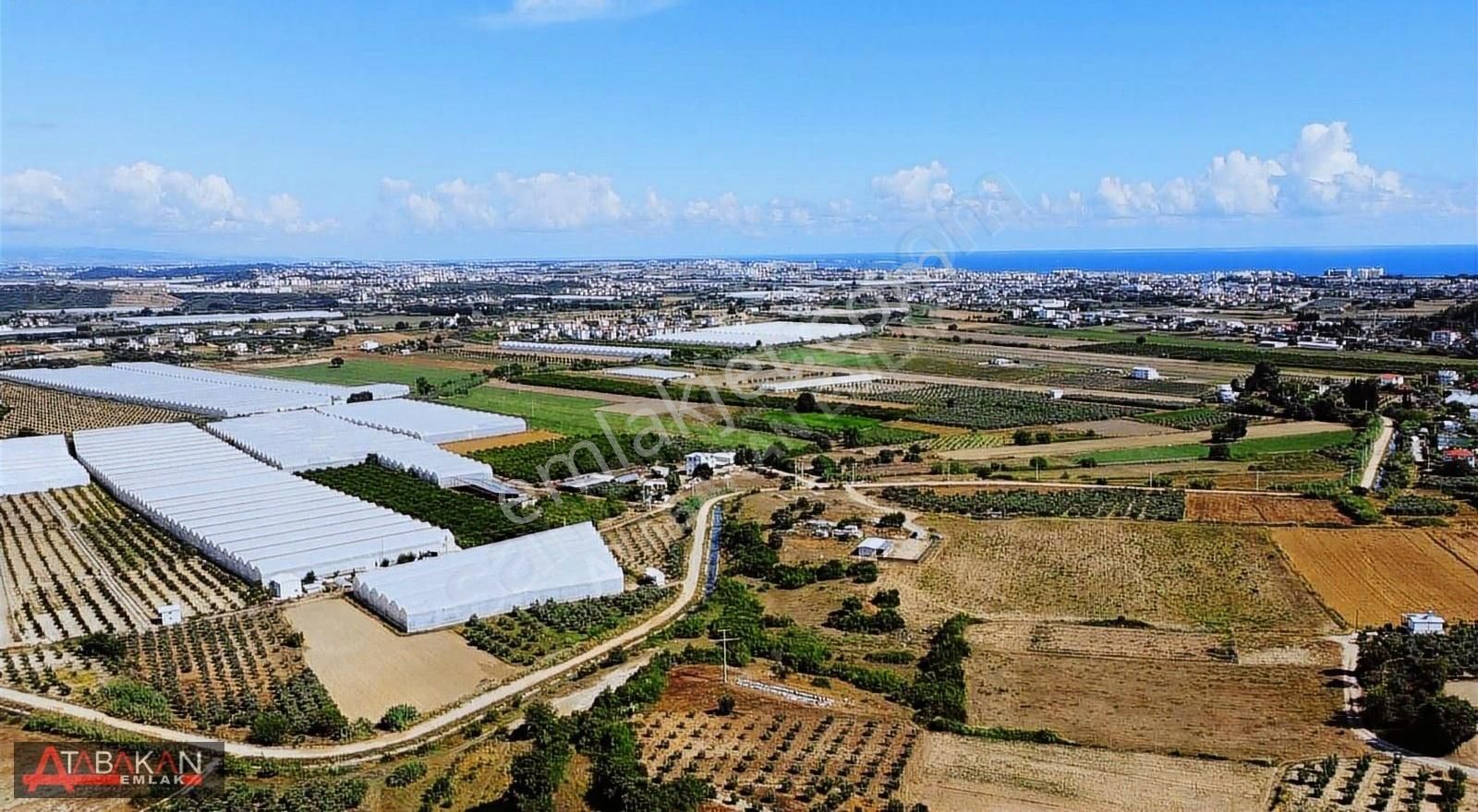 Çolaklıda 6500 M2 Müstakil Tarla - Görsel 2