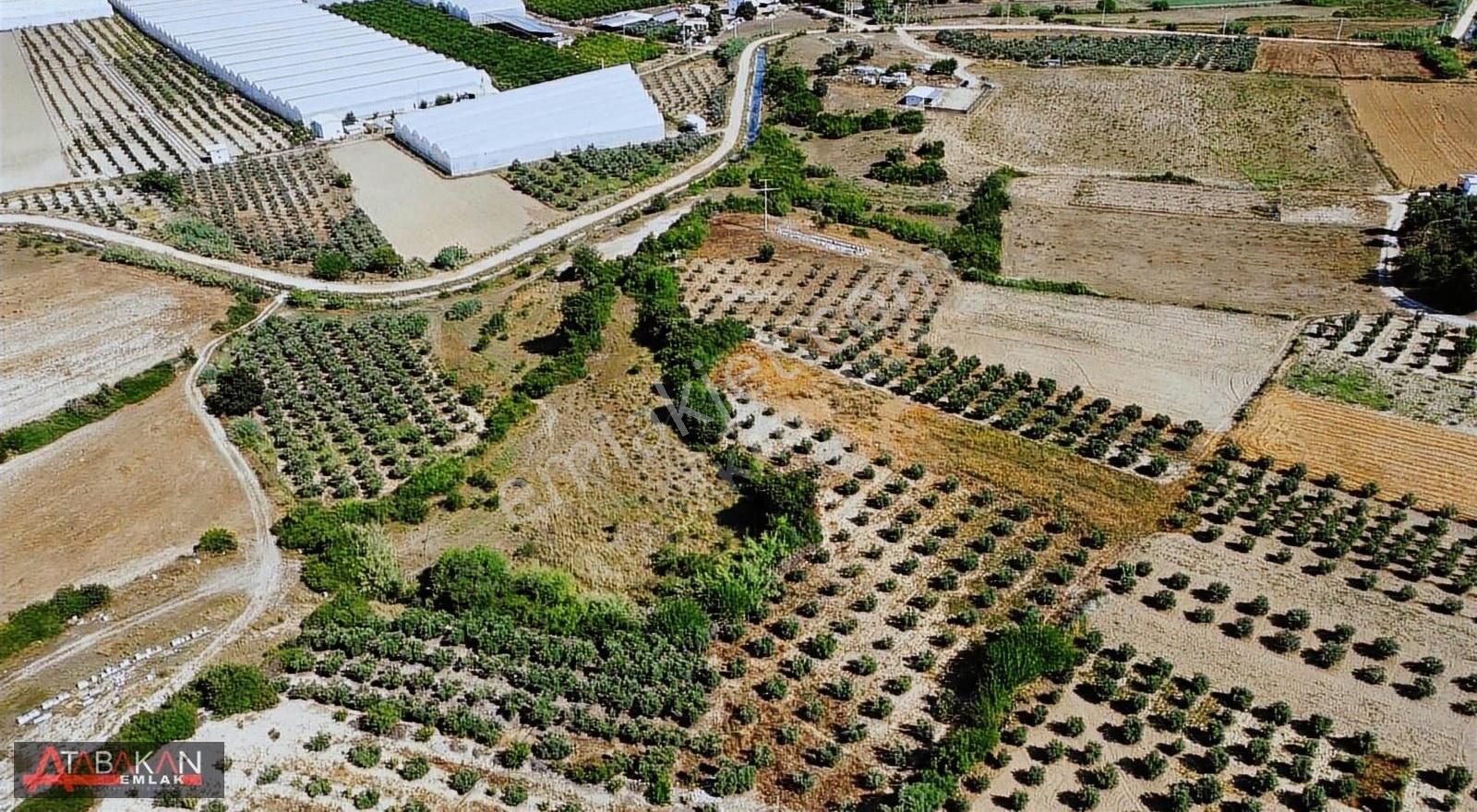 Çolaklıda 6500 M2 Müstakil Tarla - Görsel 6