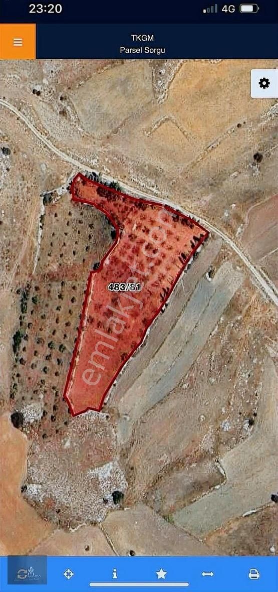 Bu Fiyata Başka Yok