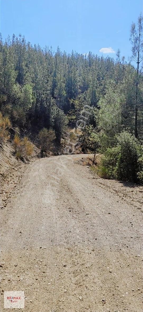 Korkuteli Güzlede Çift Yollu 19.943 M2 Müstakil Tarla - Görsel 4