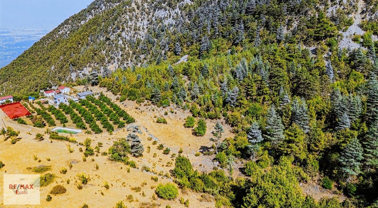 Çağlarca Kozağacında Antalya Manzaralı Satılık Tarla - Görsel 3
