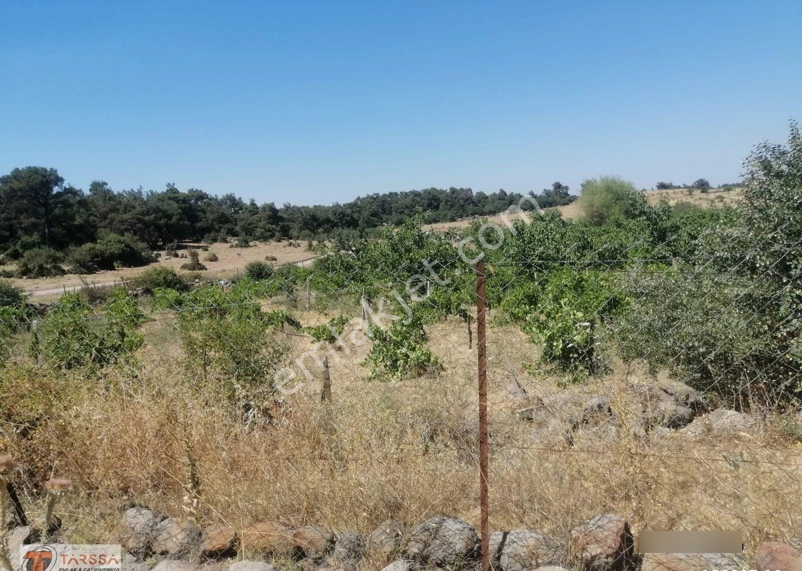 Tarssa Gayrimenkul'den Satılık Menemen Alaniçi Mh. Satılık Tarla! - Görsel 6