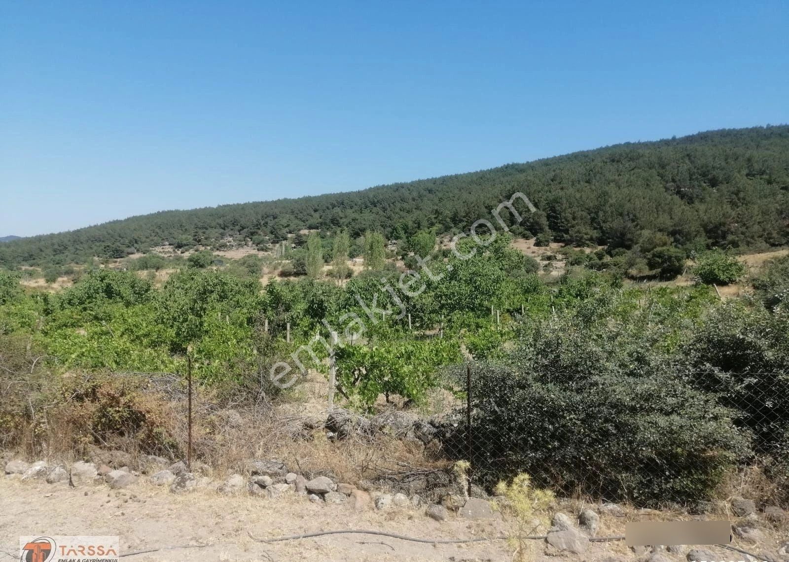 Tarssa Gayrimenkul'den Satılık Menemen Alaniçi Mh. Satılık Tarla! - Görsel 9