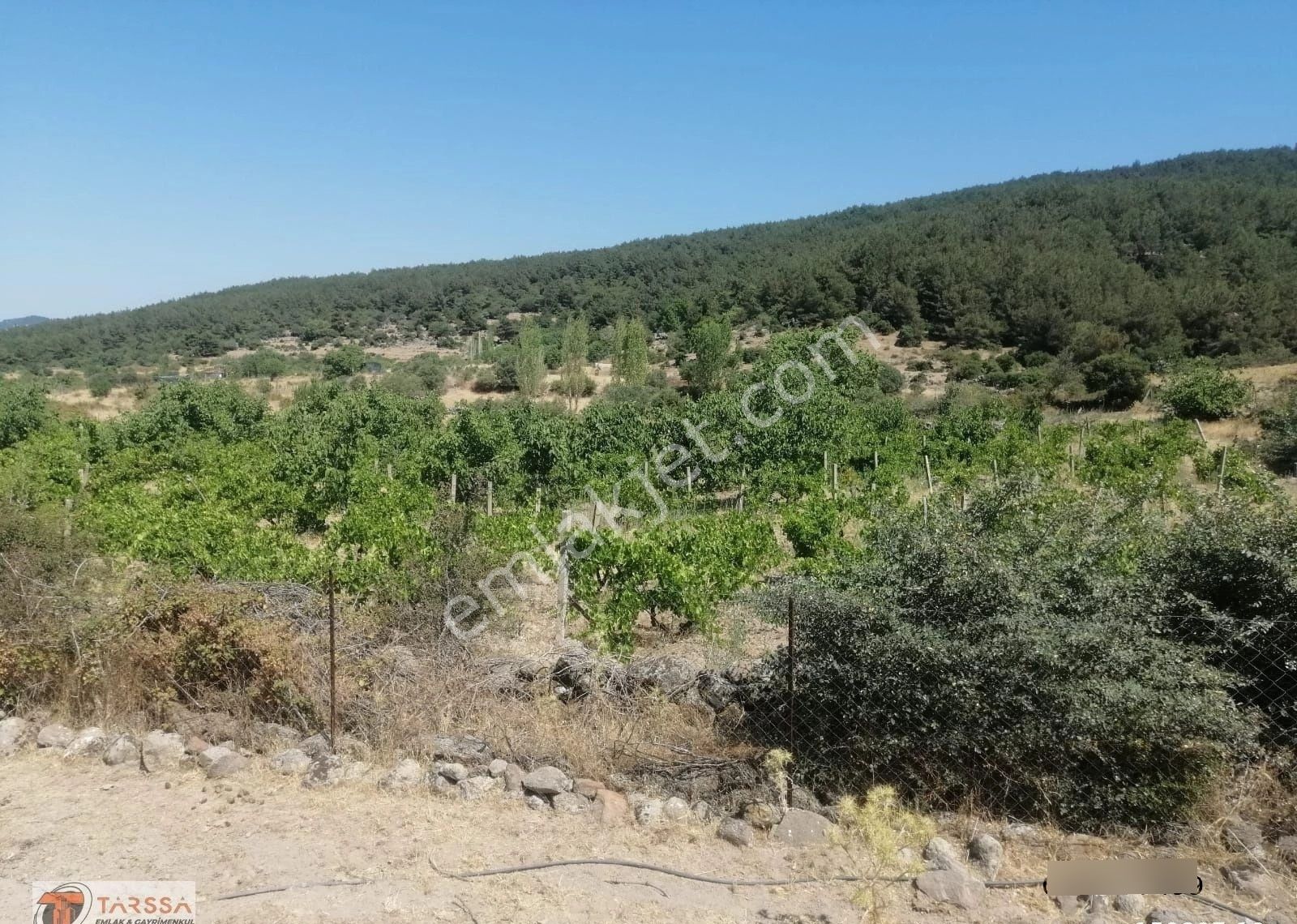 Tarssa Gayrimenkul'den Satılık Menemen Alaniçi Mh. Satılık Tarla! - Görsel 4