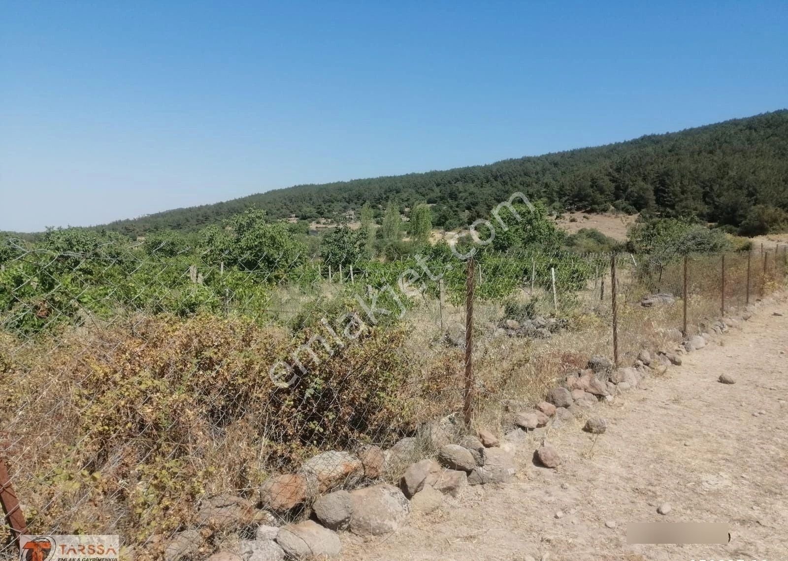 Tarssa Gayrimenkul'den Satılık Menemen Alaniçi Mh. Satılık Tarla! - Görsel 3