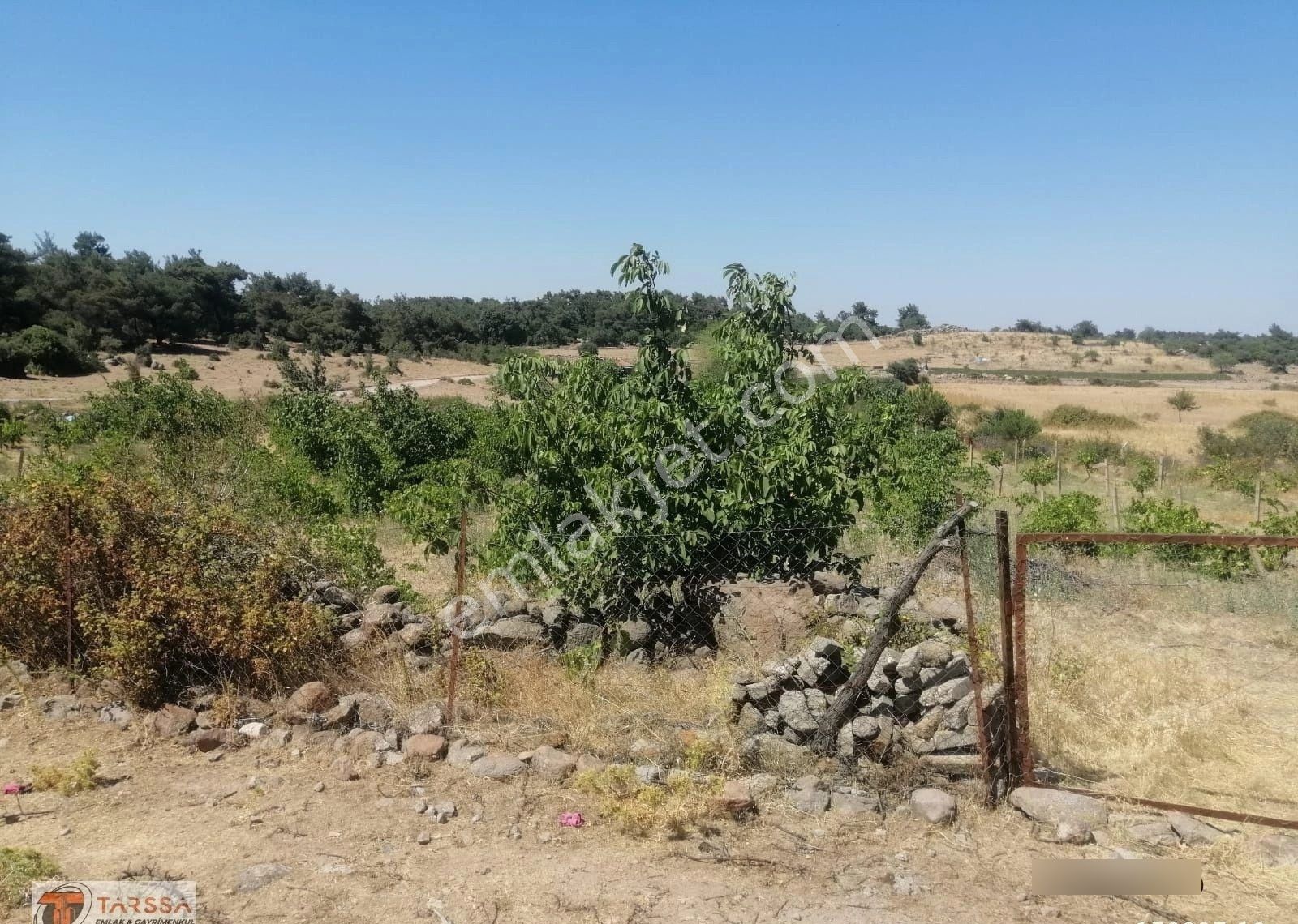 Tarssa Gayrimenkul'den Satılık Menemen Alaniçi Mh. Satılık Tarla! - Görsel 5