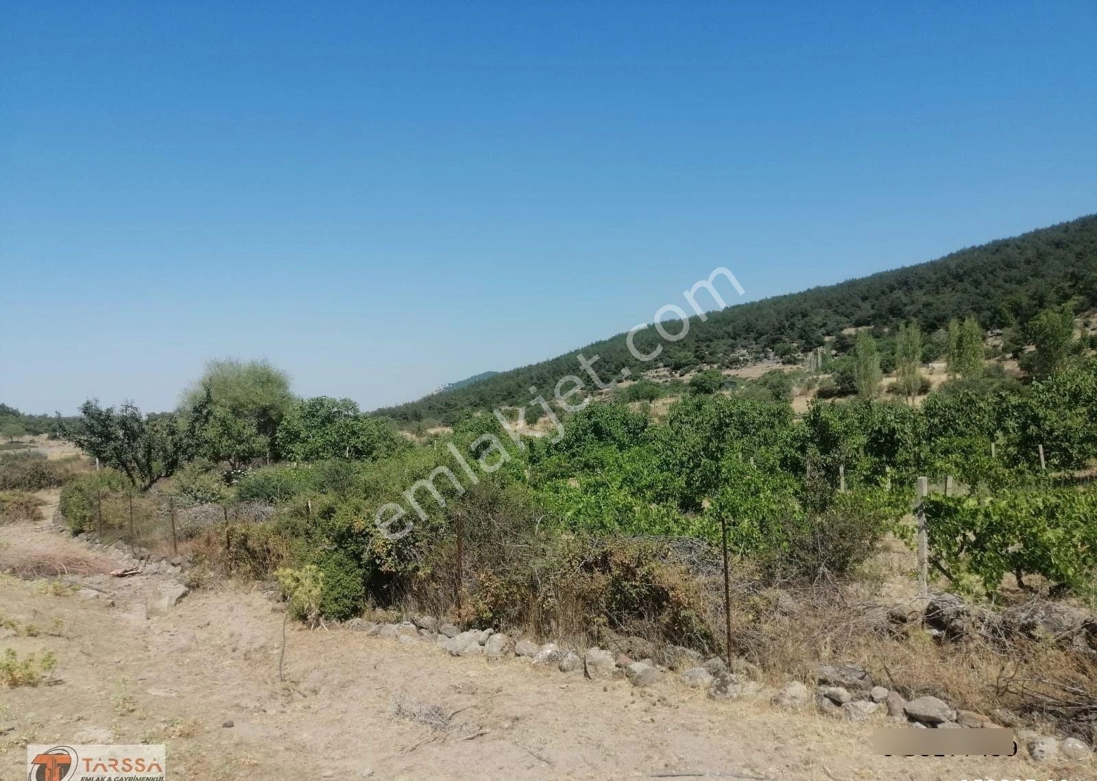 Tarssa Gayrimenkul'den Satılık Menemen Alaniçi Mh. Satılık Tarla! - Görsel 8