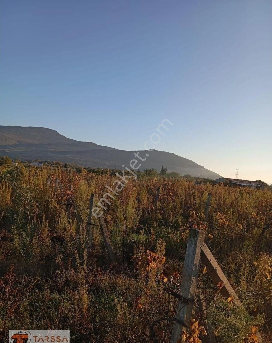 Tarssa Gayrimenkul'den Menemen Doğa Mh. Satılık Tarla! - Görsel 12