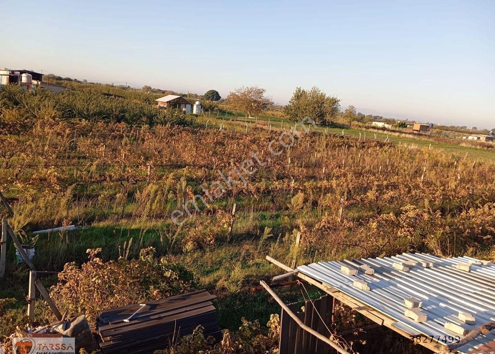 Tarssa Gayrimenkul'den Menemen Doğa Mh. Satılık Tarla! - Görsel 5