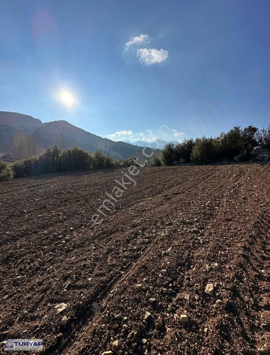 Burdur Merkez Çine Antalya Yoluna Cephe Satılık Tarla - Görsel 6