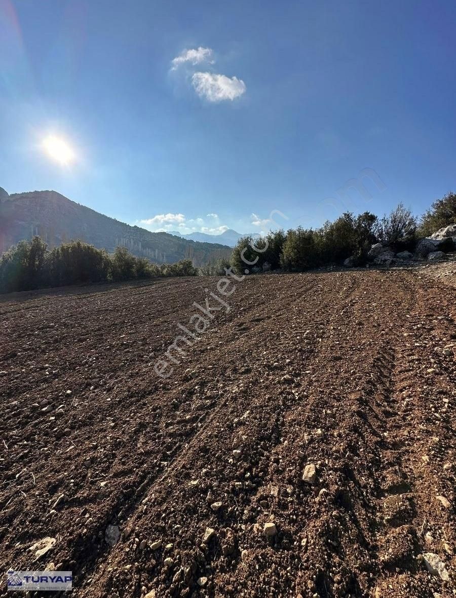 Burdur Merkez Çine Antalya Yoluna Cephe Satılık Tarla - Görsel 7